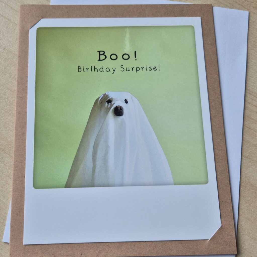 Klappkarte "boo-birthday"  von Pickmotion (gross)